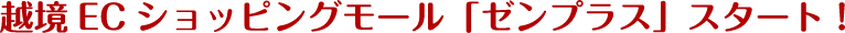 越境ECショッピングモール「ゼンプラス」スタート！